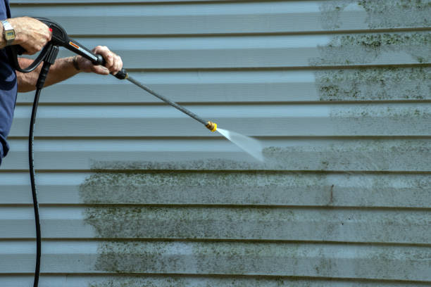 Best Solar Panel Cleaning  in Bonneau Beach, SC